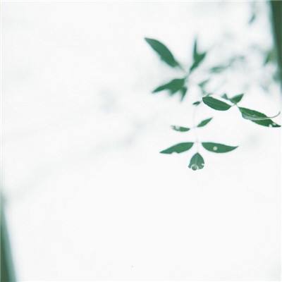 全民飞车大战手机版下载