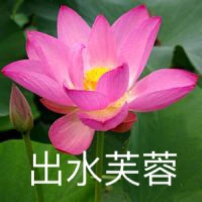 疯狂战争破解版下载